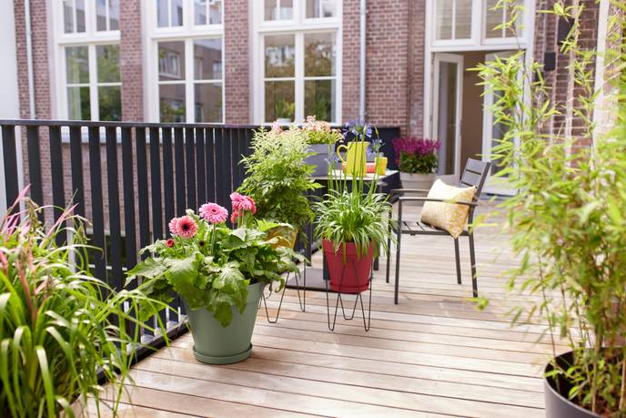 loft urban coupe 35cm lavande lilas